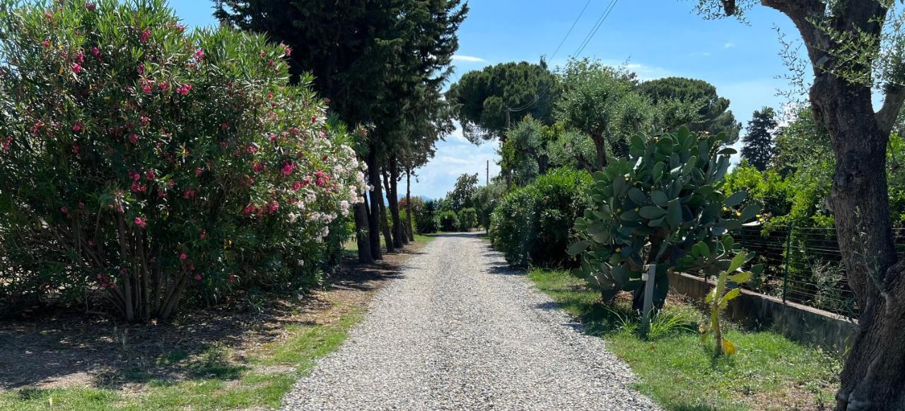 Masseria Brica Rossa Villa Thurii Exterior photo